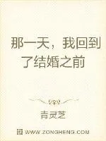 《那一天，我回到了结婚之前》小说封面