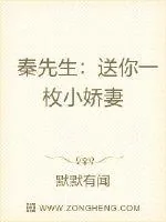 《秦先生：送你一枚小娇妻》小说封面