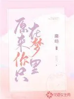 《原来你只在梦里》小说封面