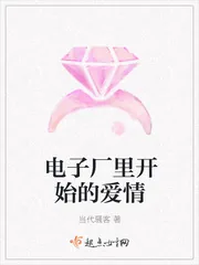 《电子厂里开始的爱情》小说封面