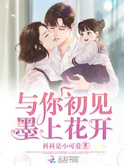 《与你初见墨上花开》小说封面