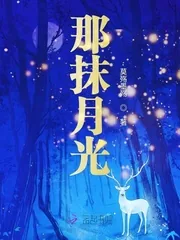《那抹月光》小说封面