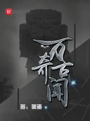 《万古奇闻》小说封面