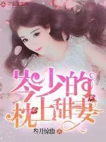 《岑少的枕上甜妻》小说封面