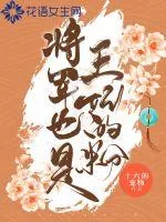 《将军也是王妃的粉》小说封面