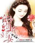 《新婚告急：名门天价妻》小说封面