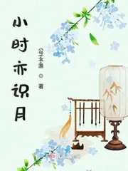 《小时亦识月》小说封面