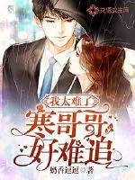 《我太难了寒哥哥好难追》小说封面
