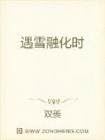 《遇雪融化时》小说封面