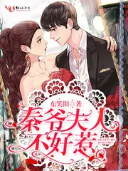 《秦爷夫人不好惹》小说封面