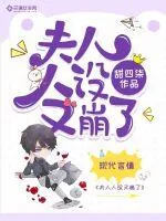《夫人人设又崩了》小说封面