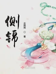 《侧锦》小说封面