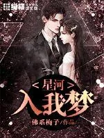 《星河入我梦》小说封面