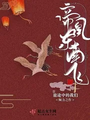 《帝凰东南飞》小说封面
