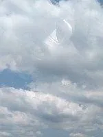 《种出一个国》小说封面