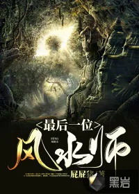 《最后一位风水师》小说封面