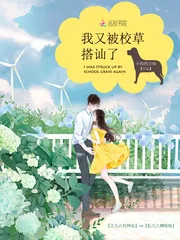 《我又被校草搭讪了》小说封面