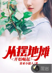 《从摆地摊开始崛起》小说封面