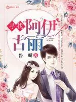 《寻找阿伊古丽》小说封面