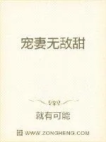 《宠妻无敌甜》小说封面
