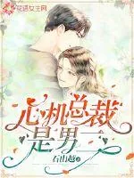《心机总裁是男二》小说封面