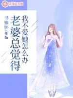 《老婆总觉得我不爱她怎么办》小说封面