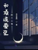 《和顶流爱豆的二三事》小说封面