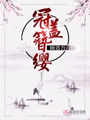 《冠盖簪缨》小说封面