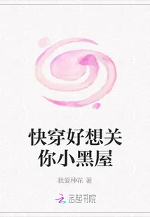 《快穿好想关你小黑屋》小说封面