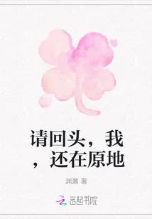 《请回头，我，还在原地》小说封面