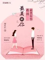 《最美年华遇到最美的你》小说封面