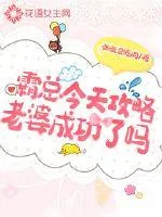 《霸总今天攻略老婆成功了吗》小说封面