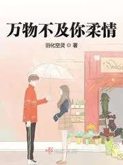 《万物不及你柔情》小说封面