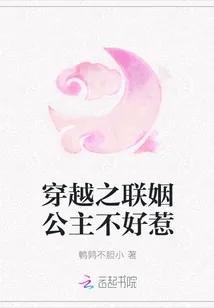 《穿越之联姻公主不好惹》小说封面