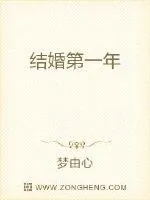 《结婚第一年》小说封面
