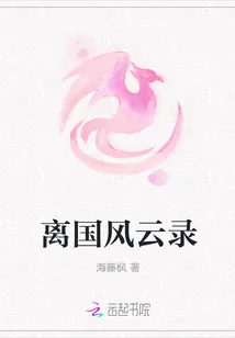 《离国风云录》小说封面