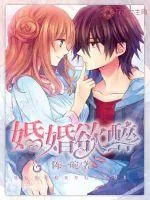 《婚婚欲醉》小说封面