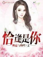 《恰逢是你》小说封面