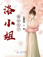 《洛小姐独步天下》小说封面
