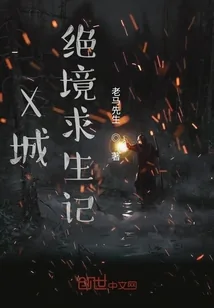 《X城绝境求生记》小说封面