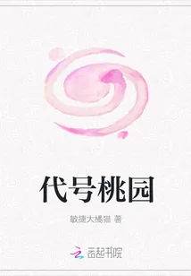 《代号桃园》小说封面