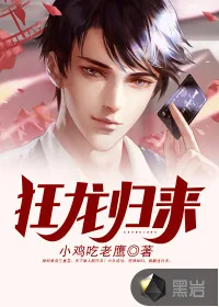 《狂龙归来》小说封面