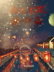 《相见亦欢终却南》小说封面