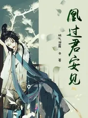 《凰过君安见》小说封面