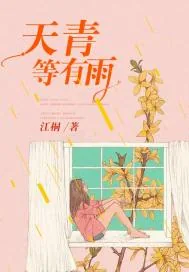 《天青等有雨》小说封面