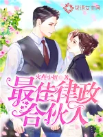 《最佳律政合伙人》小说封面