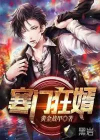 《寒门狂婿》小说封面