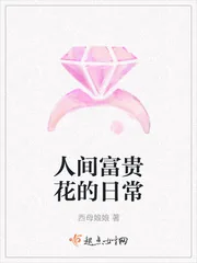 《人间富贵花的日常》小说封面