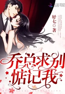 《乔总求别惦记我》小说封面
