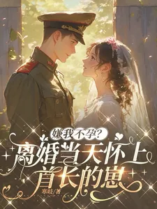 《嫌我不孕？离婚当天怀上首长的崽》小说封面
